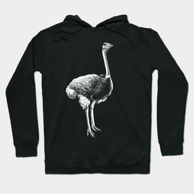 Common Ostrich Animal Portrait Hoodie by MMMSDesigns